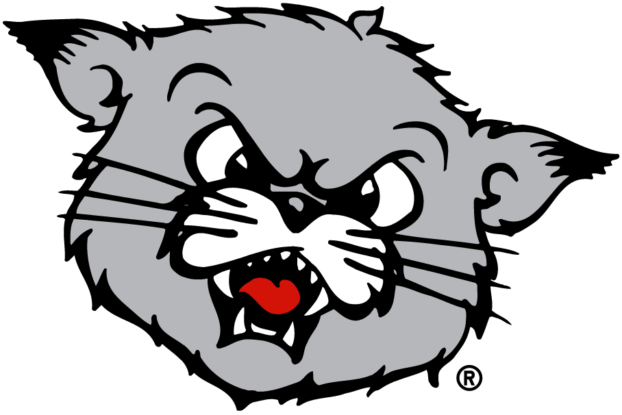 Cincinnati Bearcats 1990-2005 Partial Logo t shirts DIY iron ons